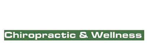 The Discover Chiropractic and Wellness website footer logo