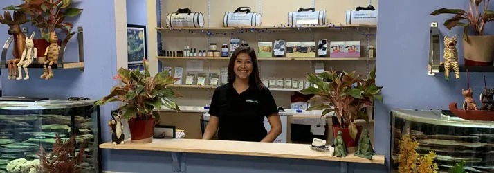 A front desk at Discover Chiropractic and Wellness with two aquariums on each side, potted plants, and shelves displaying products and brochures in the background.